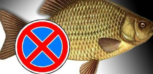 З 1 квітня в Україні заборонений вилов риби