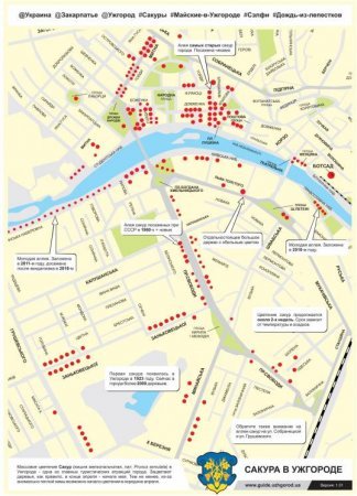 В мережі оприлюднили карту "сакурових вулиць" Ужгорода