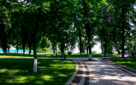 В Україні можуть дозволити ховати людей в парках і скверах