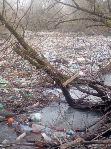 Проблема не нова: гори сміття на Закарпатті забруднюють екосистему (фото)