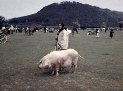 Колоритне фото, на якому закарпатка тримає на мотузці свиню