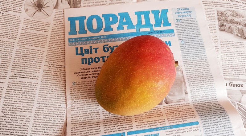 Як ми королівський манго в Ужгороді купували