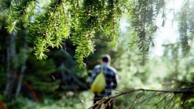 На Рахівщині в лісі заблукав 16-річний юнак
