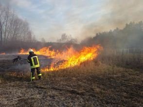 На Рахівщині сталася пожежа в екосистемі