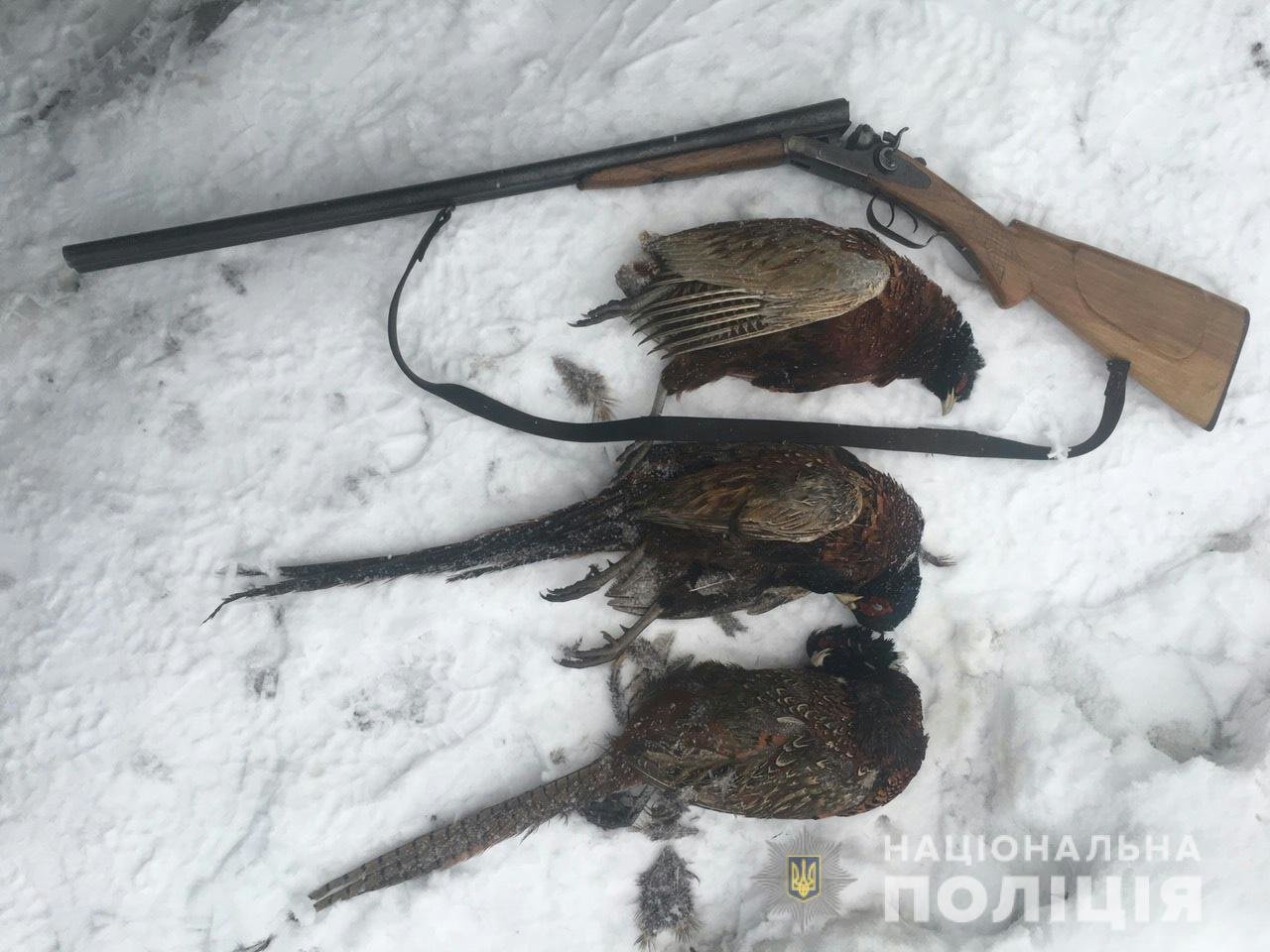 На Закарпатті поліція "на гарячому" спіймала групу браконьєрів з незареєстрованою зброєю та вбитими фазанами (ФОТО)