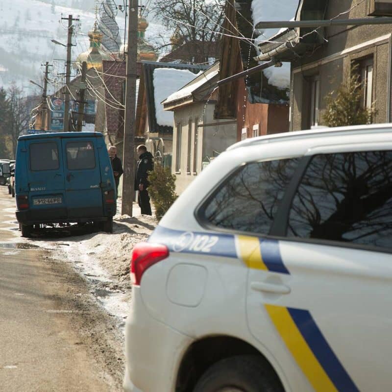 У Рахові «олень» заблокував виїзд авто