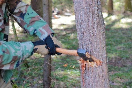 Нещасний випадок: 17-річний закарпатець у лісі отримав смертельну травму голови