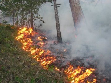 Лісівники Ясінянського лісгоспу активно борються з лісовими пожежами (ВІДЕО)