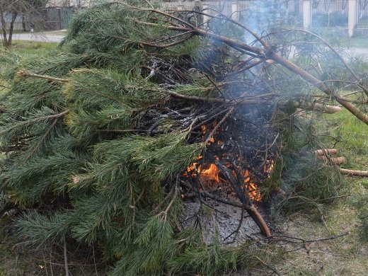 На Закарпатті влаштували полювання на підпалювачів сухої рослинності (ФОТО)